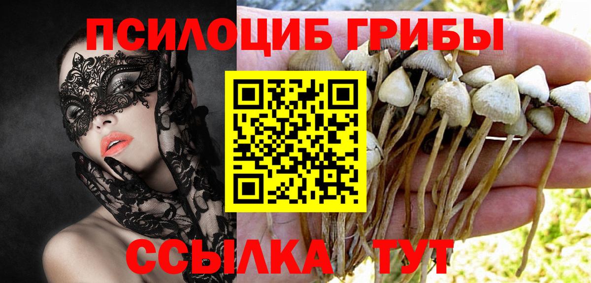Галлюциногенные грибы мухоморы  Псилоцибиновые грибы прущие грибы  Вход с VPN  Зима 